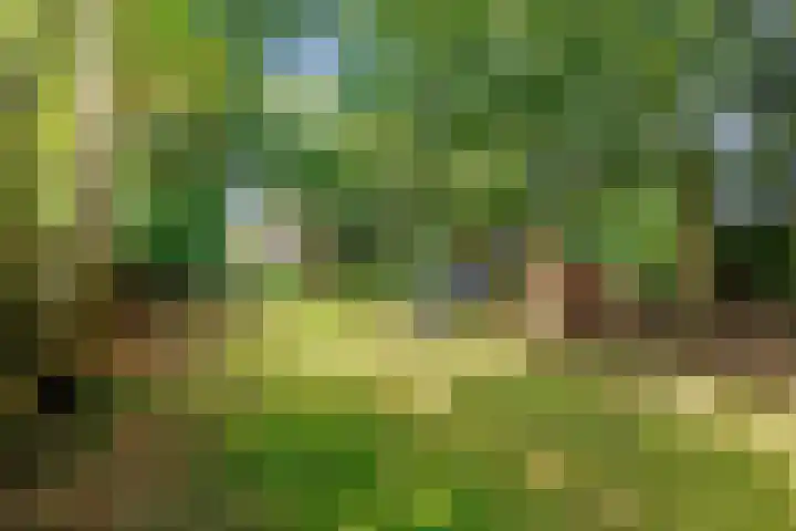 Bredeweg 23 Westeremden thumbnail 56