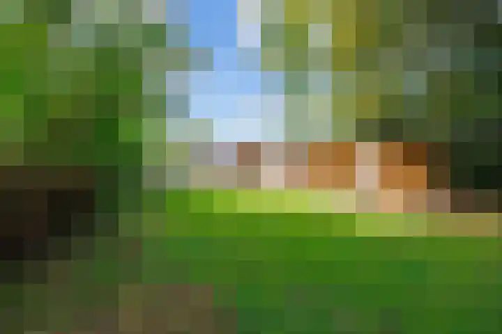 Bredeweg 23 Westeremden thumbnail 57