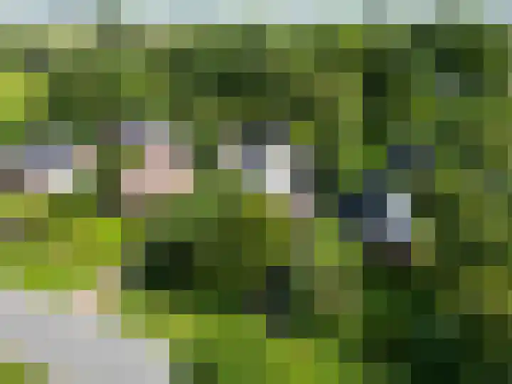 Bredeweg 23 Westeremden thumbnail 58