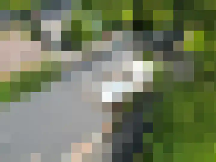 Bredeweg 23 Westeremden thumbnail 59