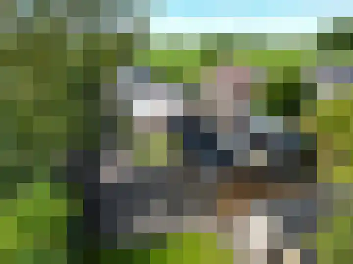 Bredeweg 23 Westeremden thumbnail 60