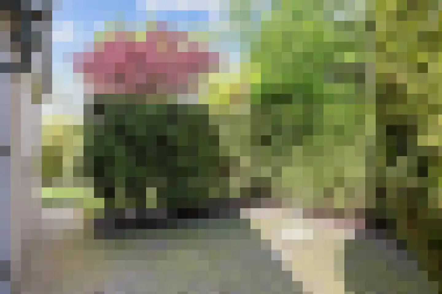 Bredeweg 26 Kantens thumbnail 15