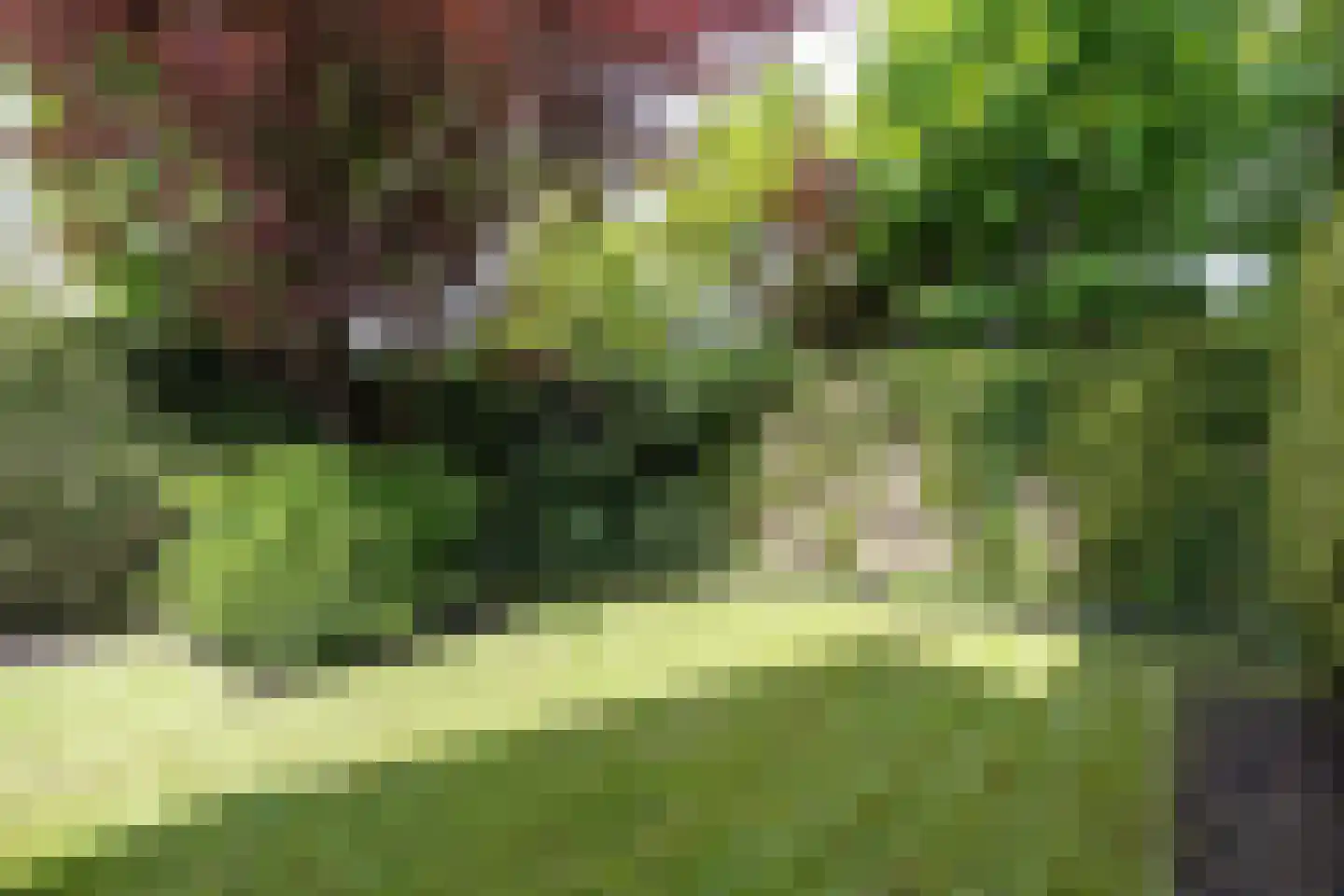 Bredeweg 26 Kantens thumbnail 16