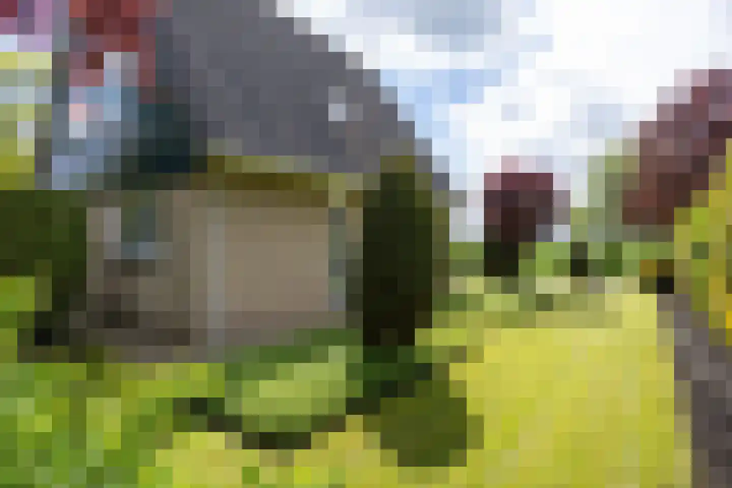 Bredeweg 26 Kantens thumbnail 17