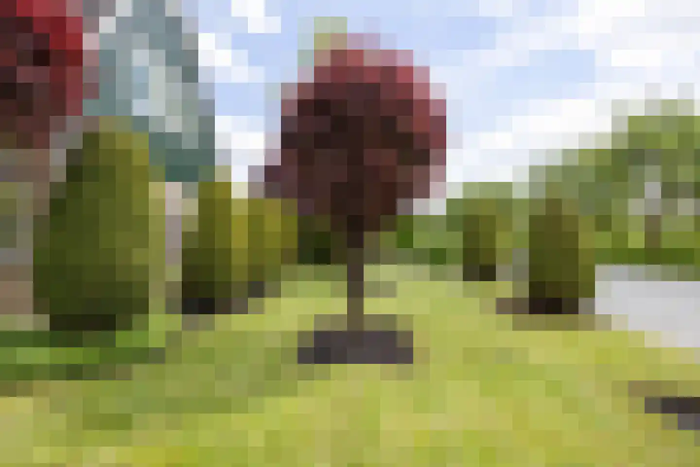 Bredeweg 26 Kantens thumbnail 19
