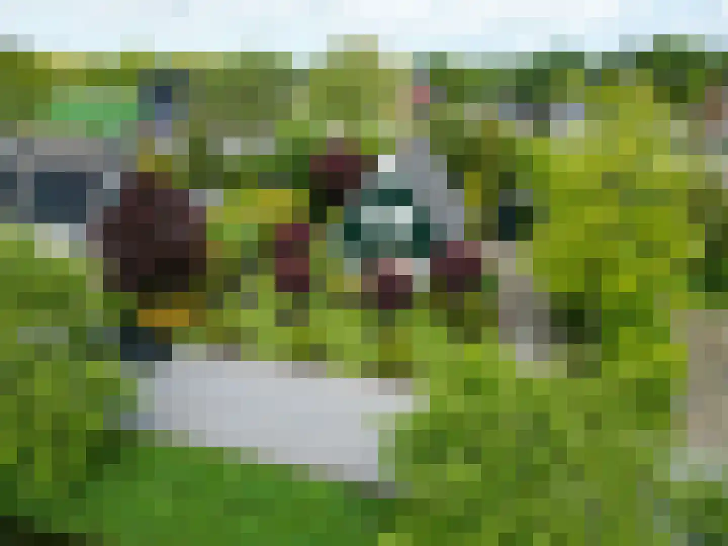Bredeweg 26 Kantens thumbnail 54