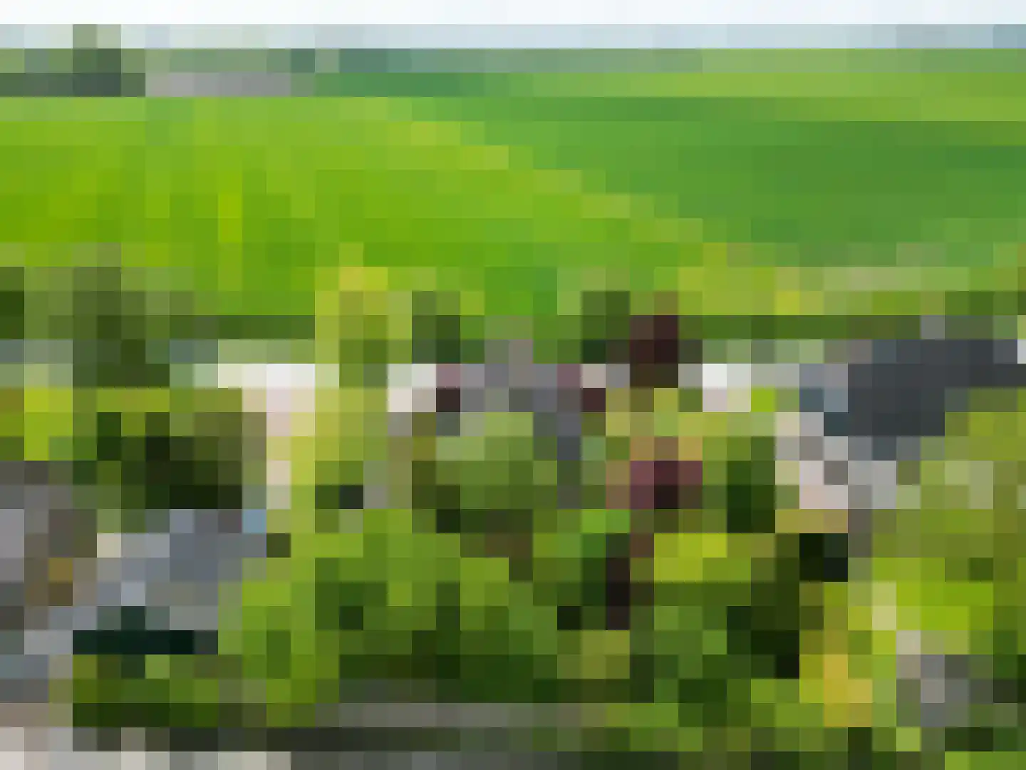 Bredeweg 26 Kantens thumbnail 9