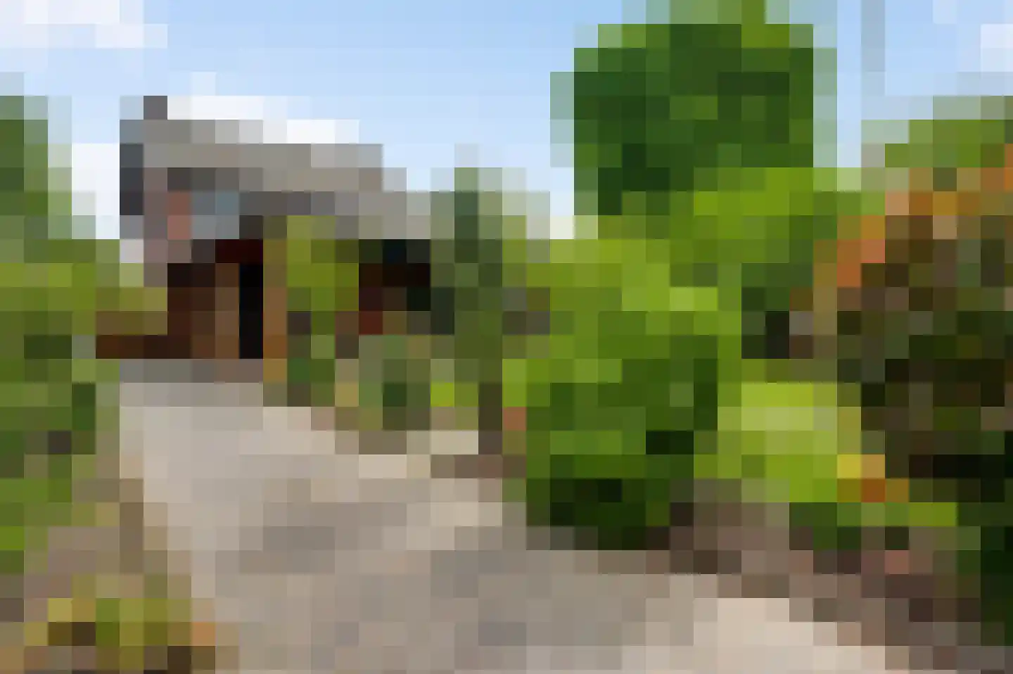 Bredeweg 28 Nederweert thumbnail 4