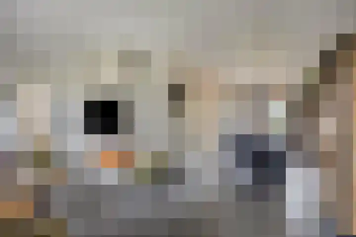 Bredeweg 3 Ottersum thumbnail 13