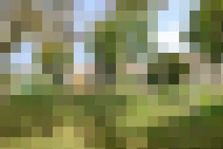 Bredeweg 3 Ottersum thumbnail 46