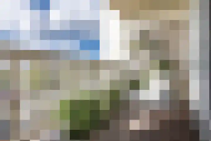 Bredeweg 32 2 Amsterdam thumbnail 19
