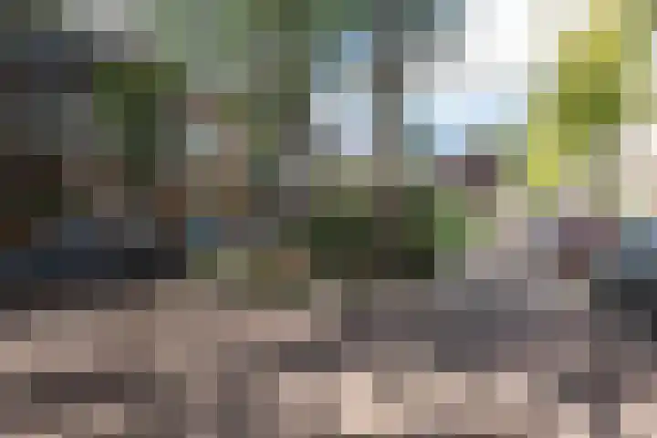 Bredeweg 32 2 Amsterdam thumbnail 30