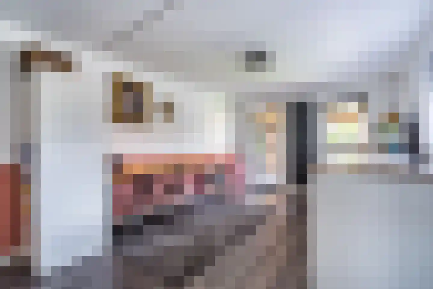 Bredeweg 36 Nederweert thumbnail 12