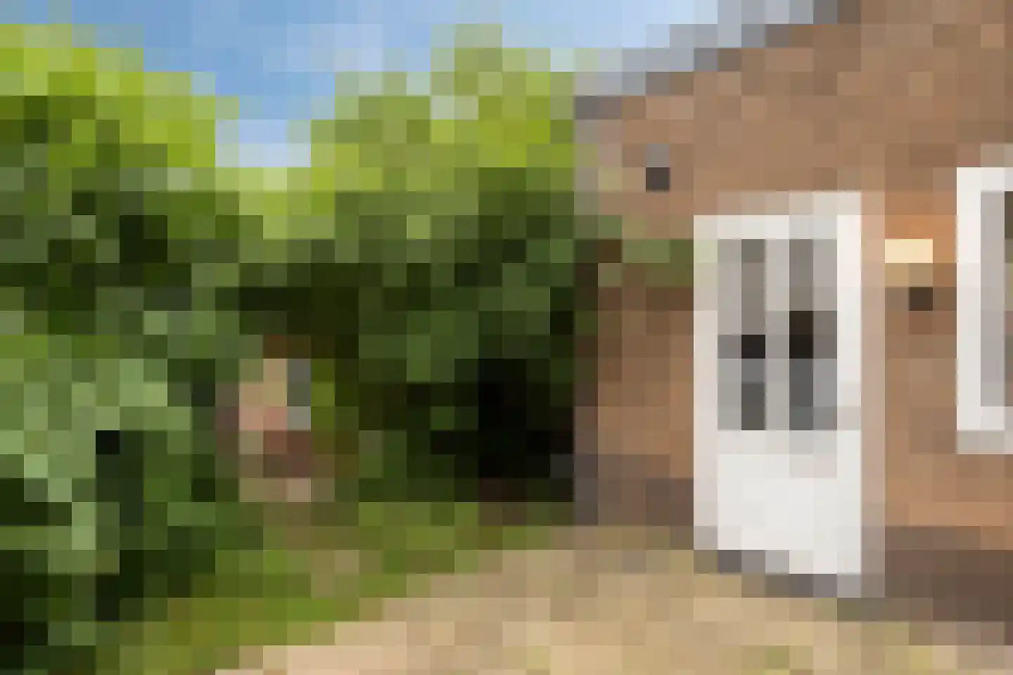 Bredeweg 375 Roermond thumbnail 43