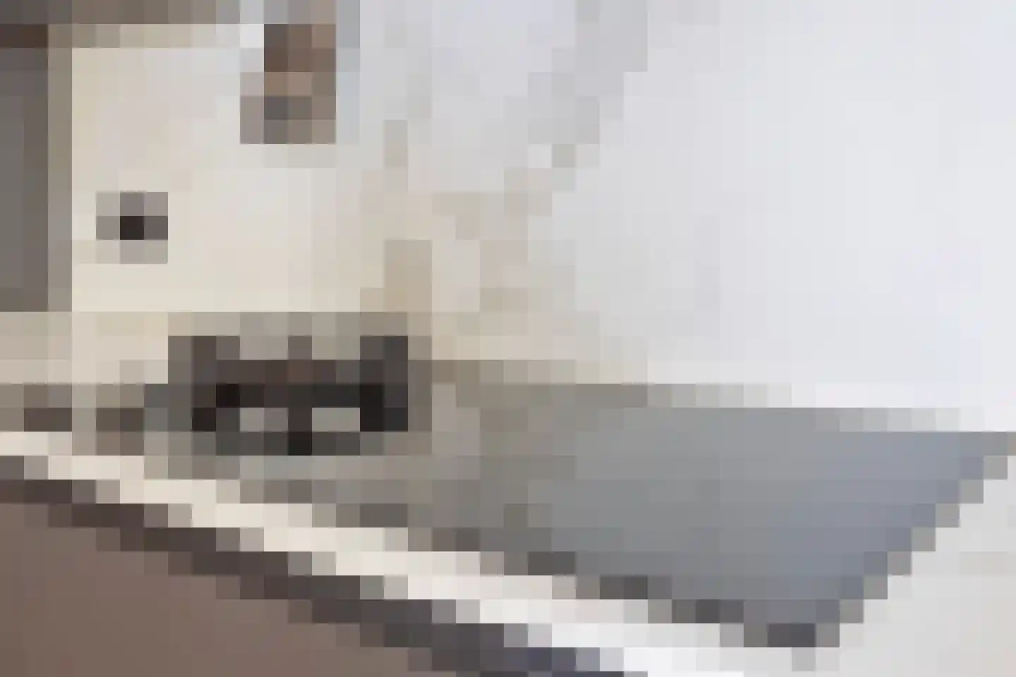 Bredeweg 377 Roermond thumbnail 12