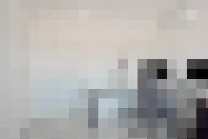 Bredeweg 377 Roermond thumbnail 23