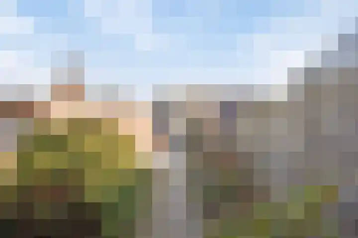 Bredeweg 377 Roermond thumbnail 31