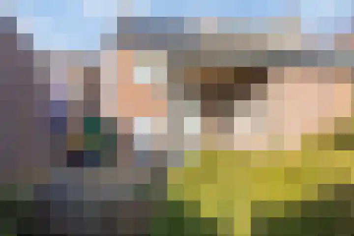 Bredeweg 377 Roermond thumbnail 32