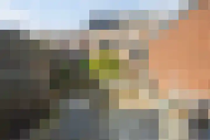 Bredeweg 377 Roermond thumbnail 34