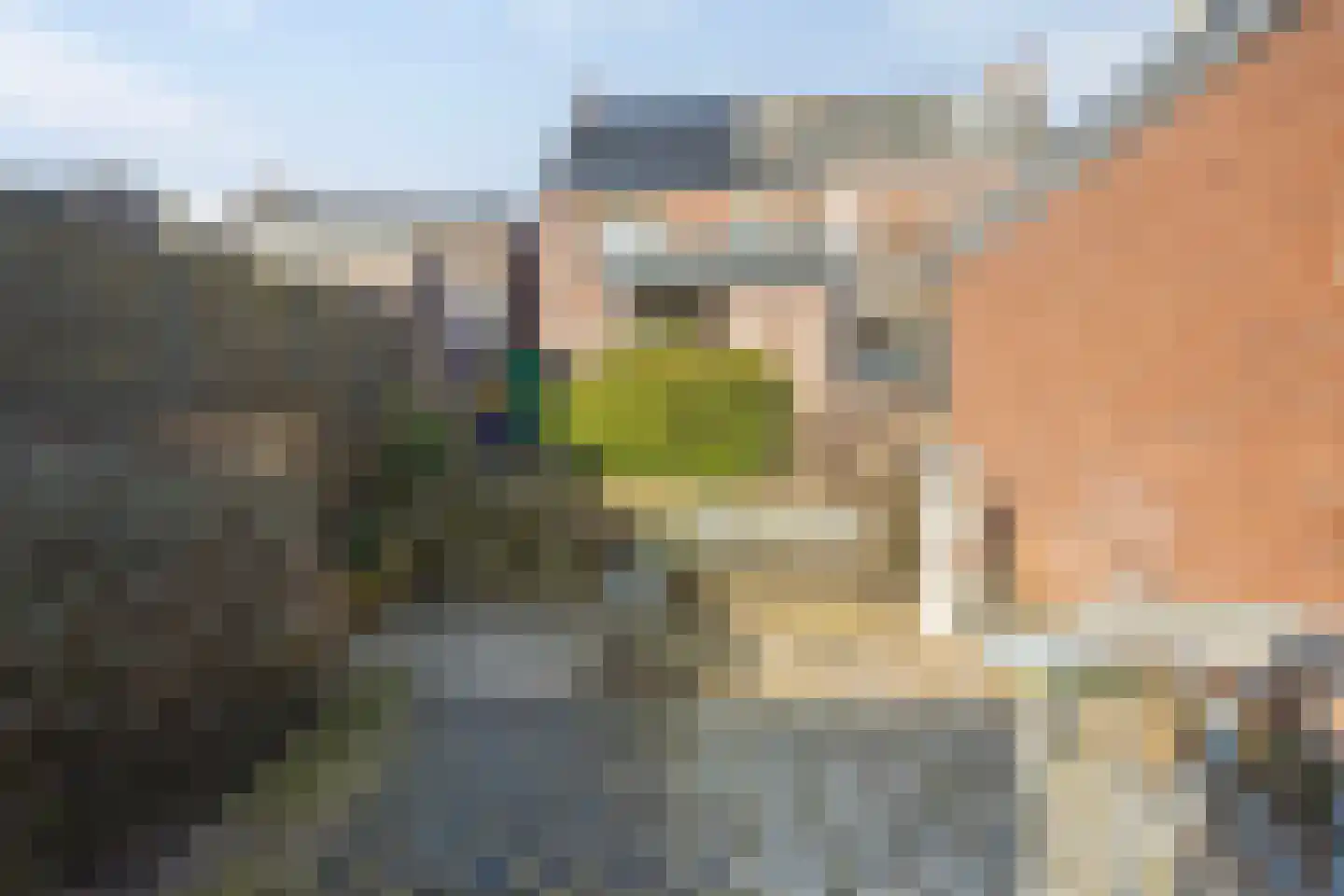 Bredeweg 377 Roermond thumbnail 34