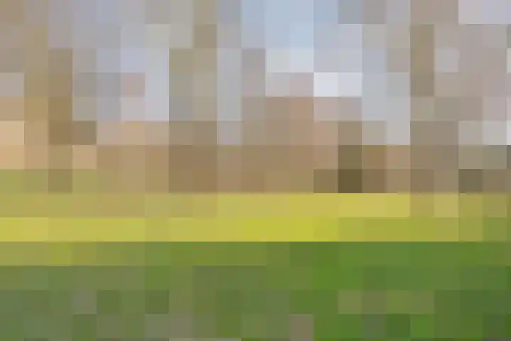 Bredeweg 377 Roermond thumbnail 41