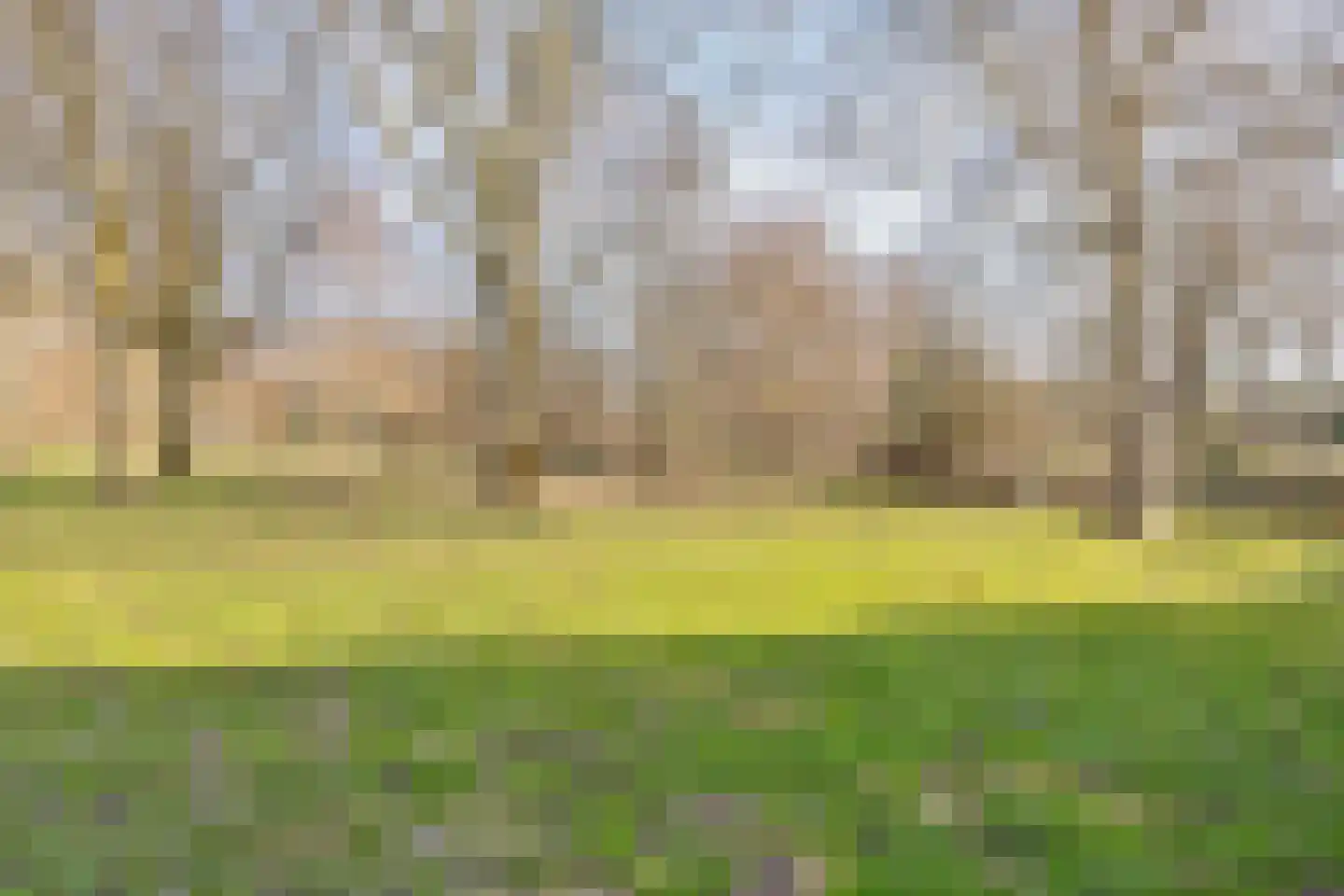Bredeweg 377 Roermond thumbnail 41