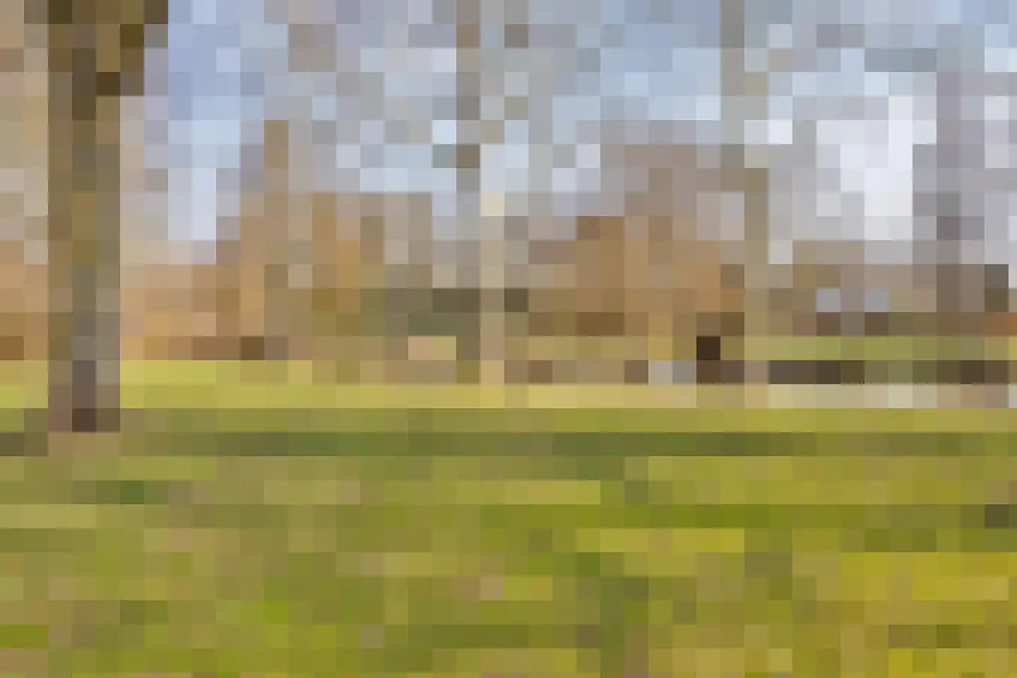 Bredeweg 377 Roermond thumbnail 42