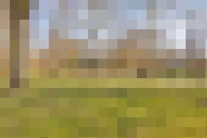 Bredeweg 377 Roermond thumbnail 42