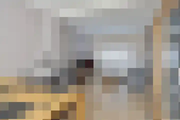 Bredeweg 377 Roermond thumbnail 7