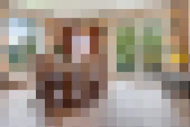 Bredeweg 4 Holthees thumbnail 11