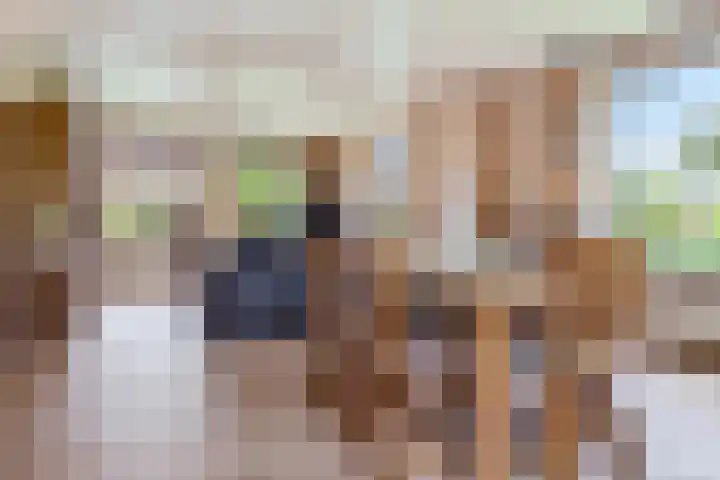 Bredeweg 4 Holthees thumbnail 13
