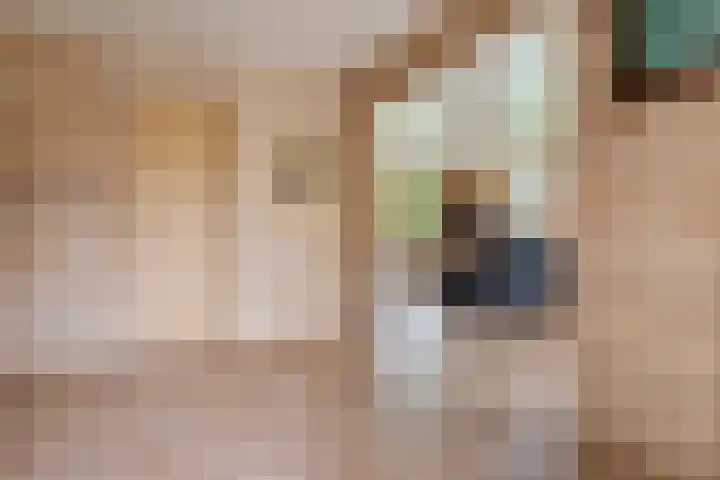 Bredeweg 4 Holthees thumbnail 15