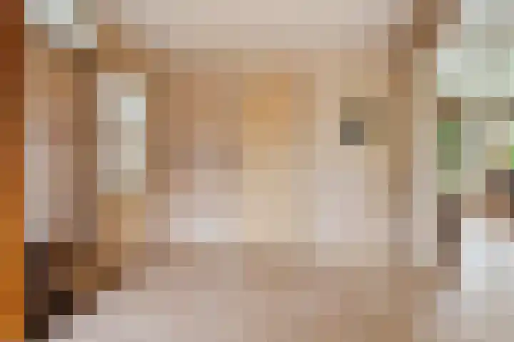 Bredeweg 4 Holthees thumbnail 16