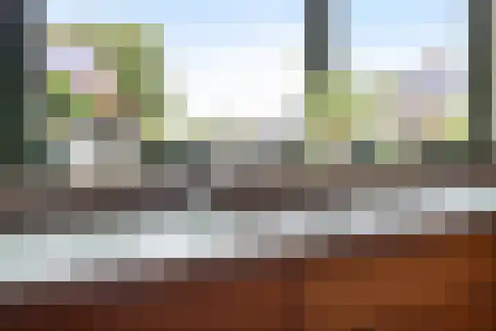 Bredeweg 4 Holthees thumbnail 19