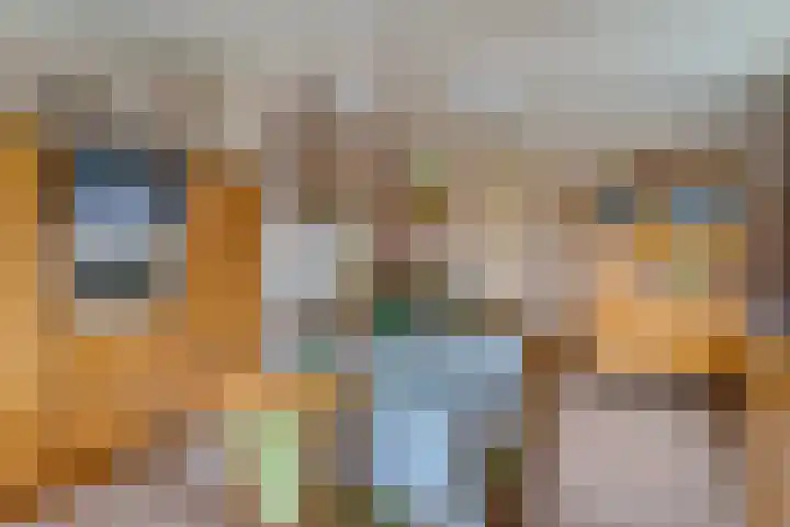 Bredeweg 4 Holthees thumbnail 20
