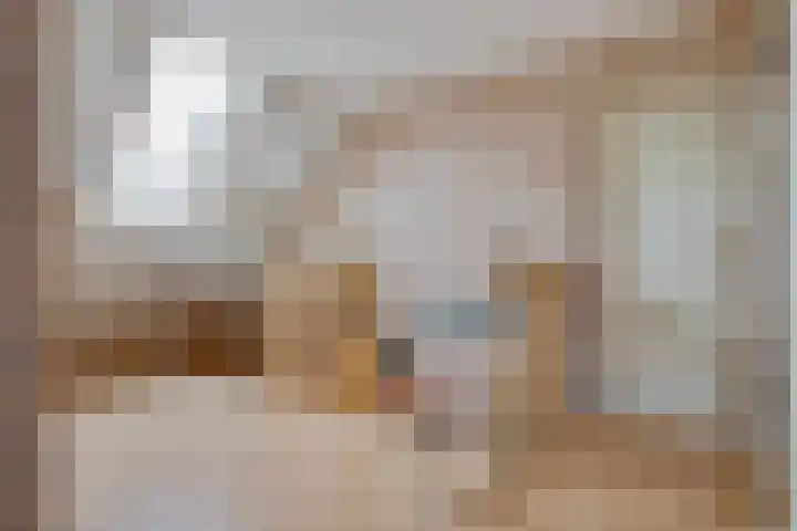 Bredeweg 4 Holthees thumbnail 23