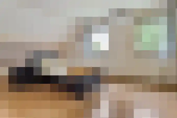 Bredeweg 4 Holthees thumbnail 24