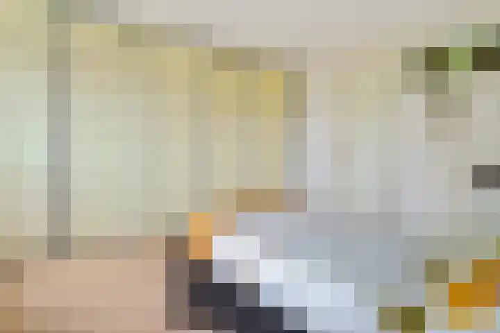 Bredeweg 4 Holthees thumbnail 26