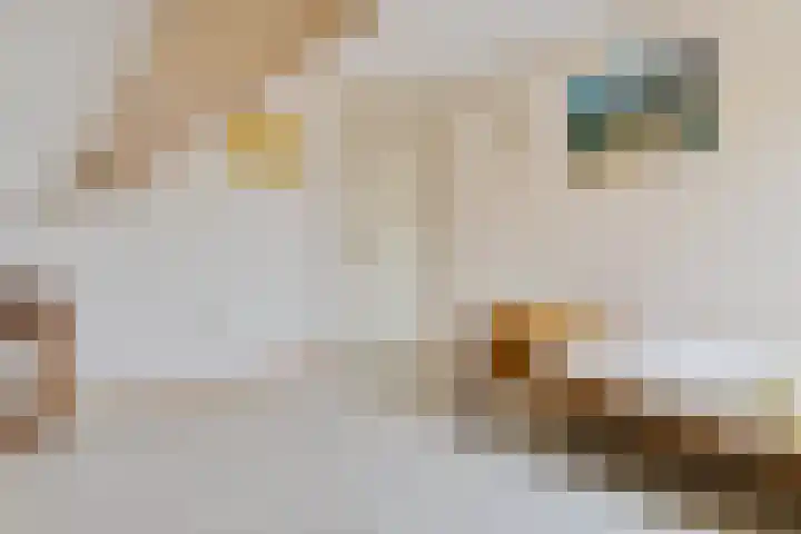 Bredeweg 4 Holthees thumbnail 28