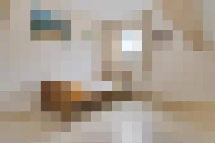 Bredeweg 4 Holthees thumbnail 29