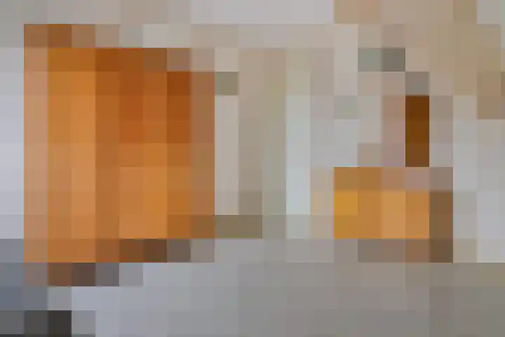 Bredeweg 4 Holthees thumbnail 31