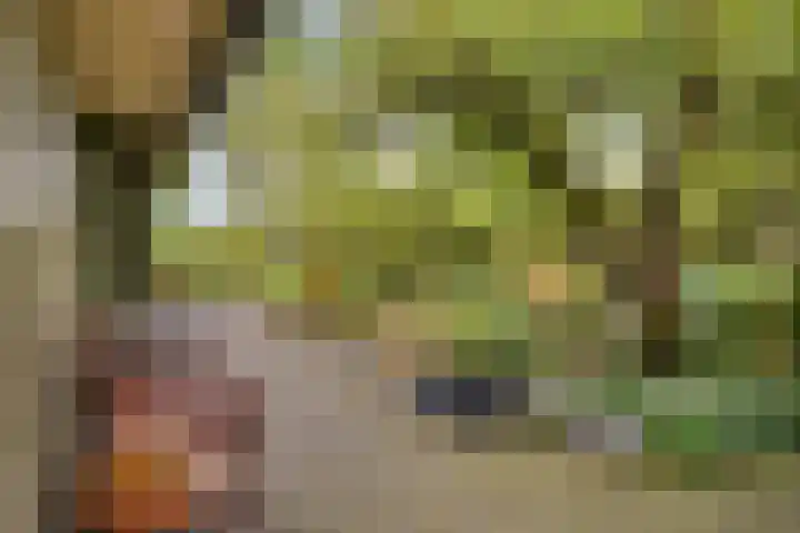Bredeweg 4 Holthees thumbnail 36