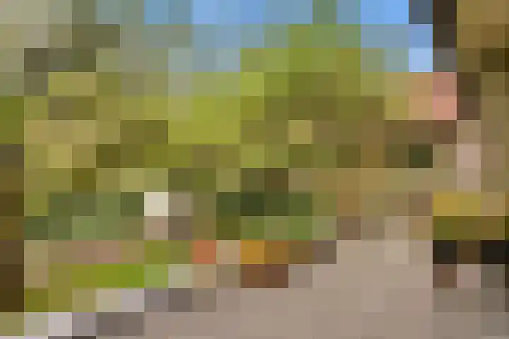 Bredeweg 4 Holthees thumbnail 37