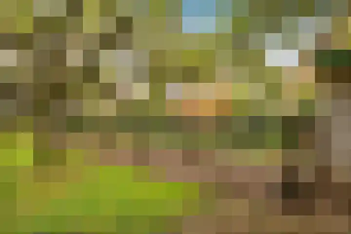 Bredeweg 4 Holthees thumbnail 38