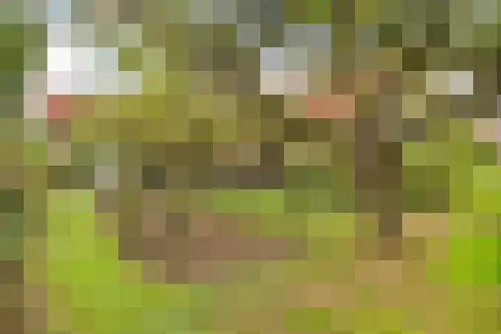 Bredeweg 4 Holthees thumbnail 39
