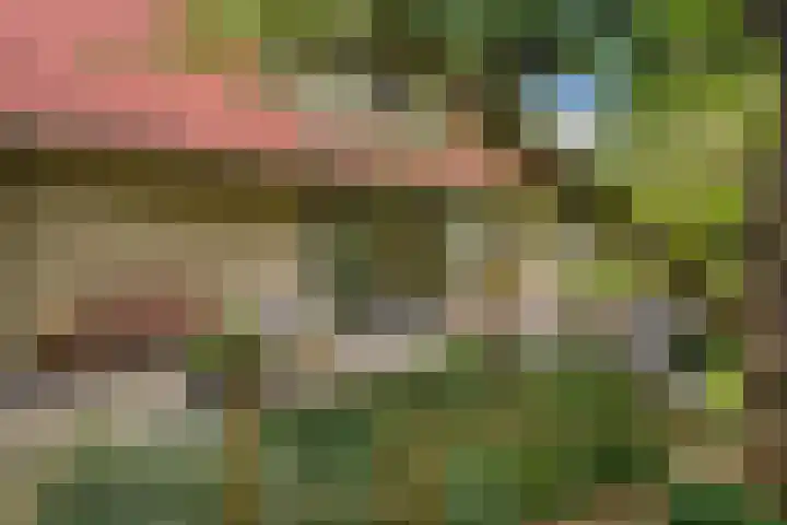 Bredeweg 4 Holthees thumbnail 40