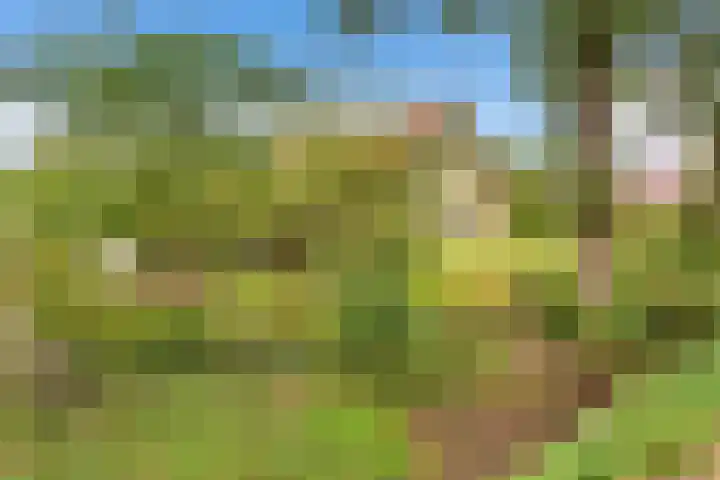 Bredeweg 4 Holthees thumbnail 42