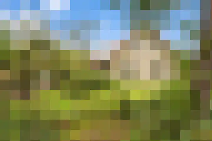 Bredeweg 4 Holthees thumbnail 43