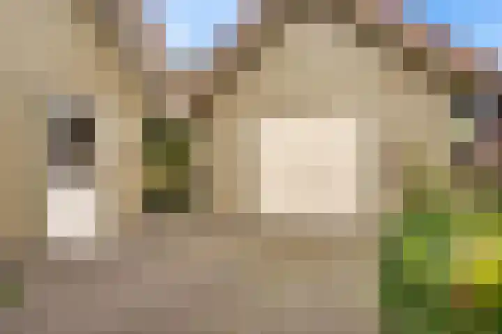 Bredeweg 4 Holthees thumbnail 44