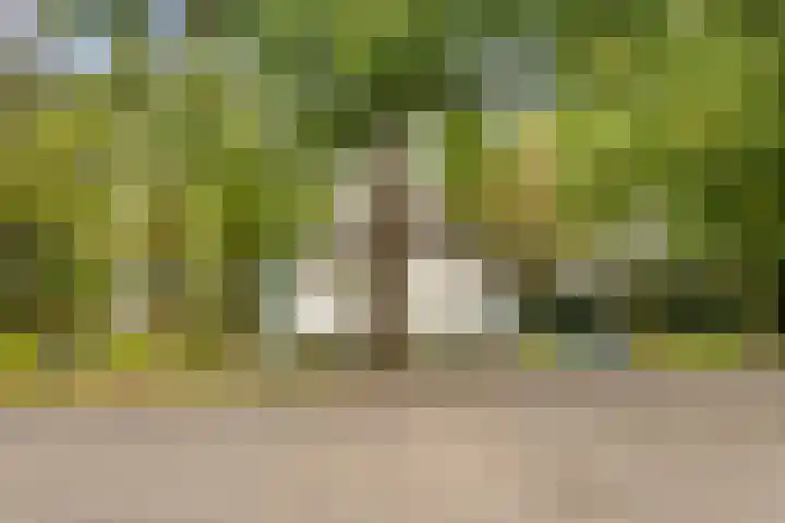 Bredeweg 4 Holthees thumbnail 48